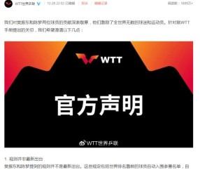 WTT的声明与樊振东的补充 共存共荣何时能实现？